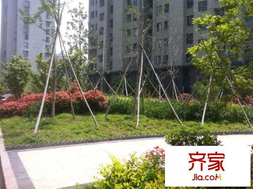 新安天苑外景圖 