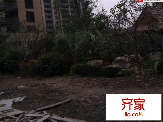 蔚藍(lán)郡實(shí)景圖（2013-1-11）