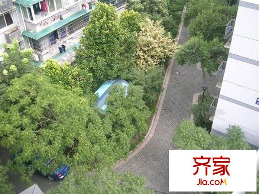 觀音塘小區(qū)外景圖