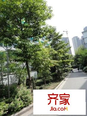 觀音塘小區(qū)外景圖