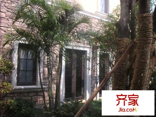 白馬公寓外景圖