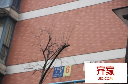 長(zhǎng)島之春外景圖