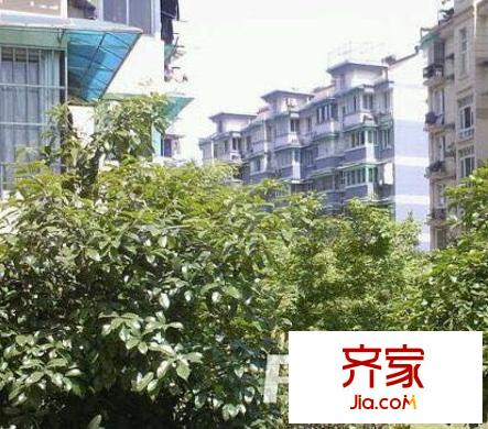 米市巷小區(qū)外景圖 