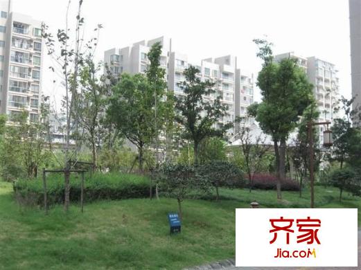 三華天運外景圖