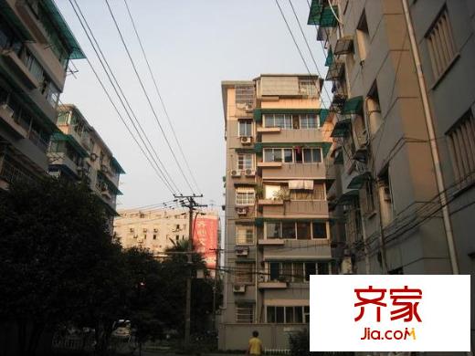 采荷玉荷外景圖