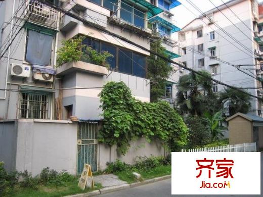 采荷玉荷外景圖