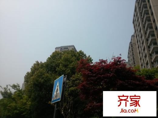曙光之城外景圖 