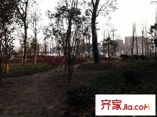 曙光之城配套圖周邊的公園
