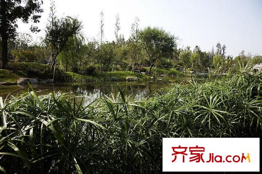 曙光之城配套圖附近的機場路