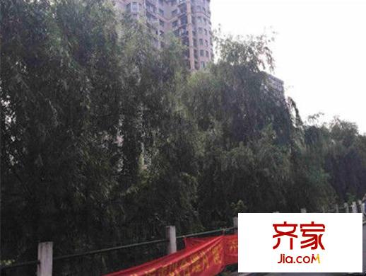 米市巷小區(qū)外景圖 