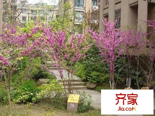 華盛星洲翠谷外景圖 