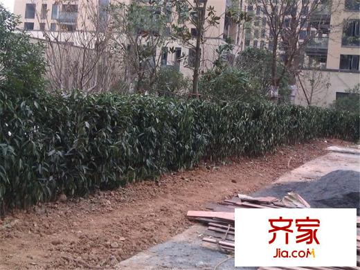 蔚藍(lán)郡實(shí)景圖（2013-1-11）