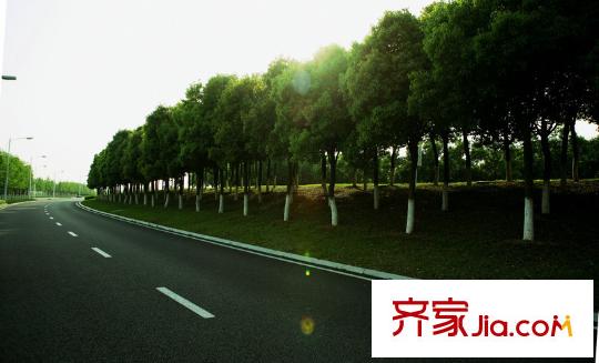 宋都晨光國際附近的道路