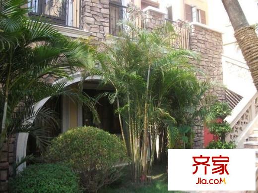 白馬公寓外景圖