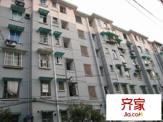 采荷玉荷外景圖