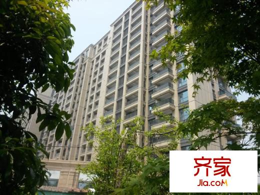 曙光之城