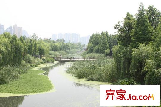 理想康城國際附近水景公園