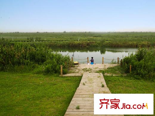 江語海配套圖附近的濕地公園
