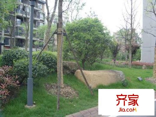 親親家園二期外景圖