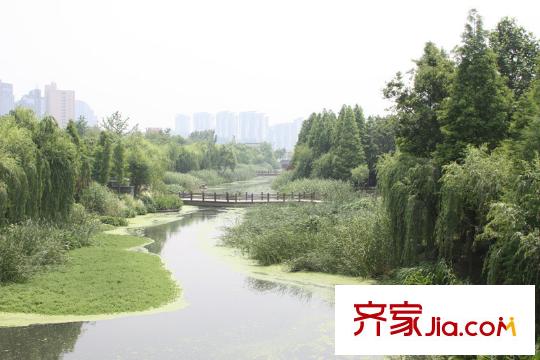 理想康城國際附近水景公園