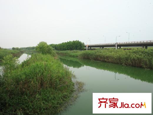 江語海配套圖附近的濕地公園