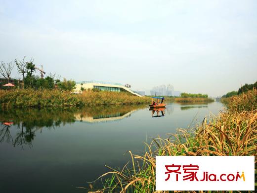 江語海配套圖附近的濕地公園