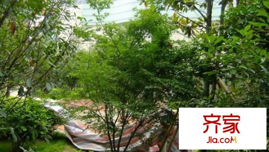 萬象城悅府外景圖 