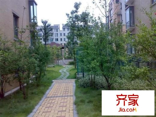 爵士風情外景圖