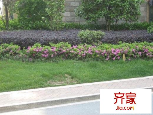 盛世嘉園外景圖