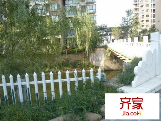 閑林山水