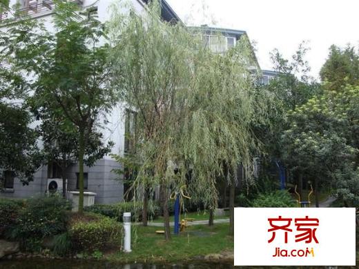 濱江江濱花園外景圖