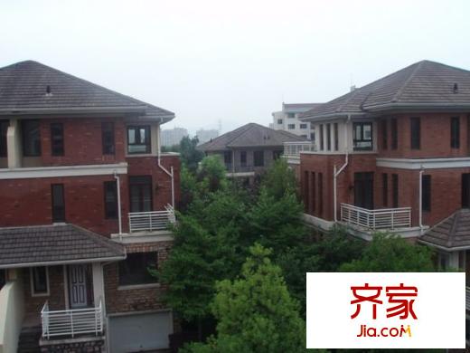 陽明谷