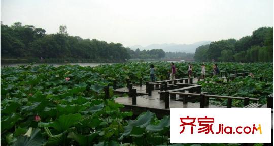 百家樂(lè)西園周邊景色