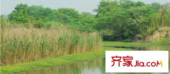 百家樂(lè)西園周邊景色