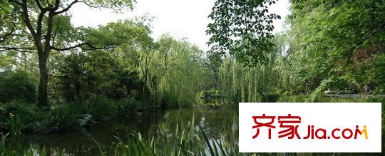 百家樂西園周邊景色