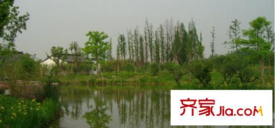 百家樂西園周邊景色