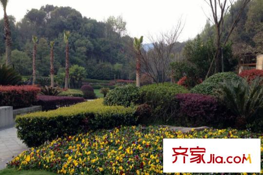 高爾夫小鎮(zhèn)周邊配套