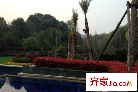 高爾夫小鎮(zhèn)周邊配套