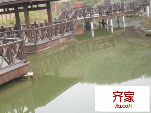 綠野春天翠谷幽蘭