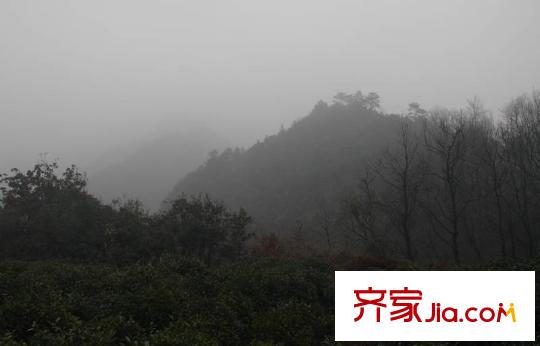 綠野春天翠谷幽蘭項(xiàng)目附近的午潮山國家公園