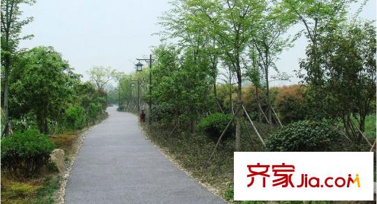 百家樂西園周邊景色