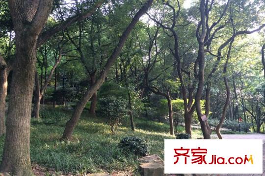 萬盛商貿(mào)城公寓附近的臨平公園