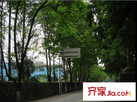 西溪郡項(xiàng)目附近實(shí)景
