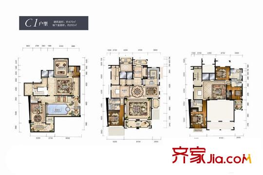 大華西溪風(fēng)情澄宮C1戶型 4室3廳4衛(wèi)1廚