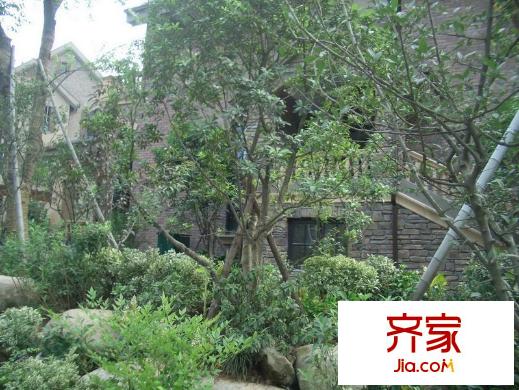 泊林漫谷香墅園（2012.6）