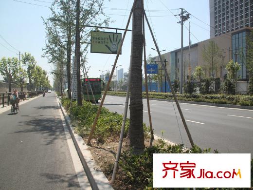金沙湖1號附近的馬路