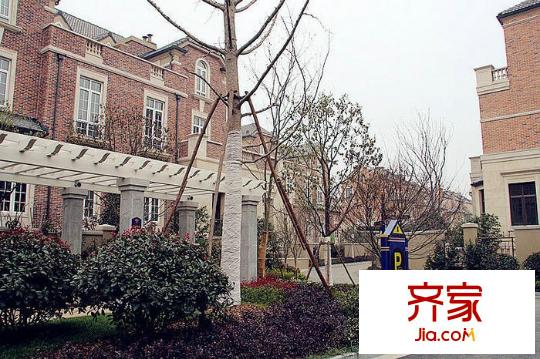 西溪海一期（2012.1）