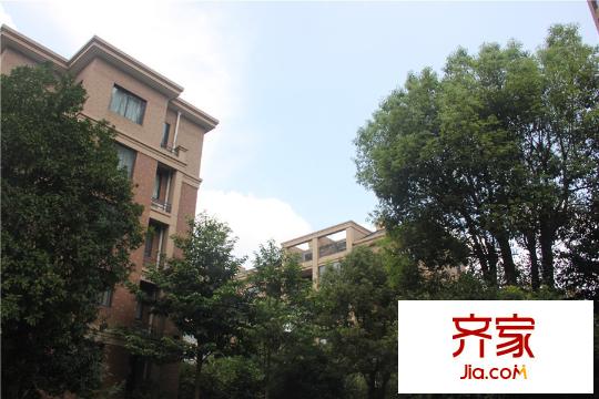 永安圓鄉(xiāng)名筑綠化（2015-9-4）
