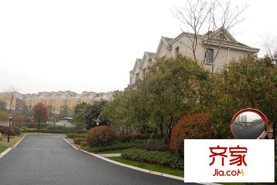 瑞城溫莎郡綠化（2015.3）