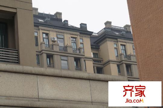 星橋桂花城（2015.03.11）